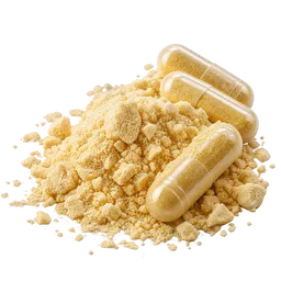 Best Supplements to Protect Brain Tissue as You Age (2026)