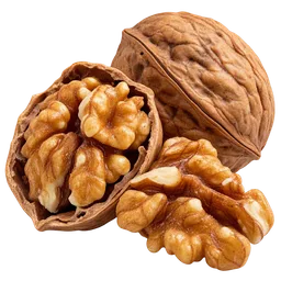 Walnut