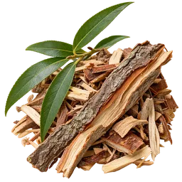 White Willow Bark