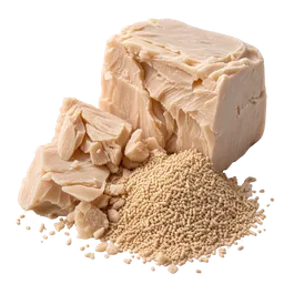 Yeast