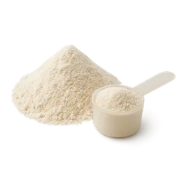 Does Creatine Make You Gain Weight?