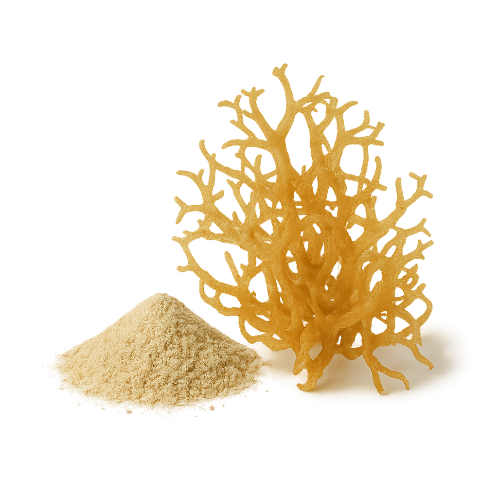 Sea Moss Is Overhyped on Social Media